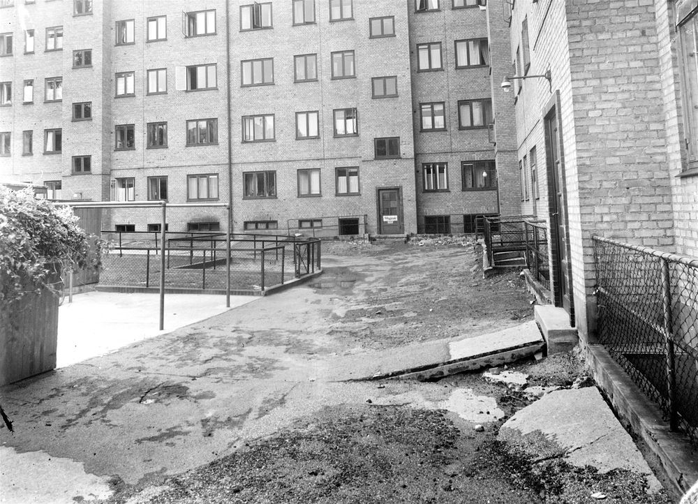 duevej-kbhbilleder-dk