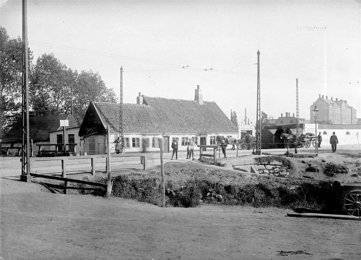 Lygtekroen