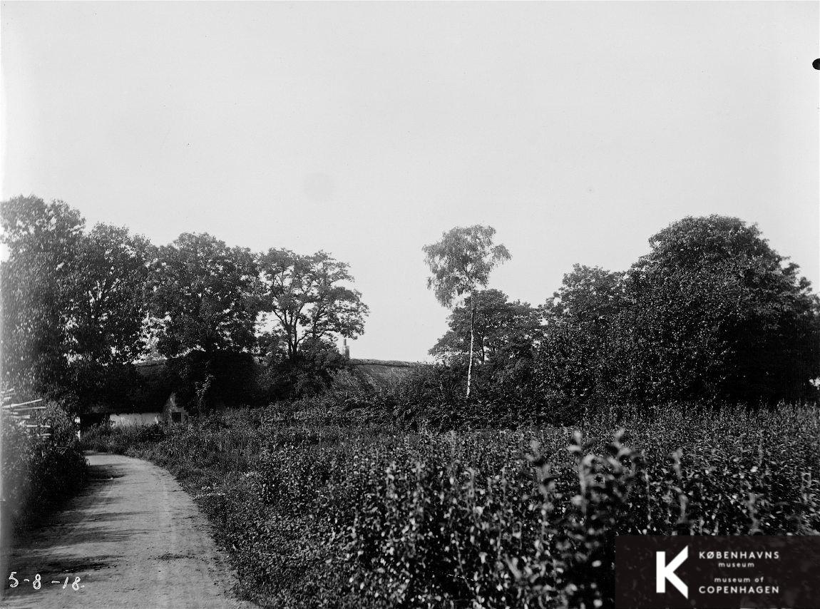 Hulgård