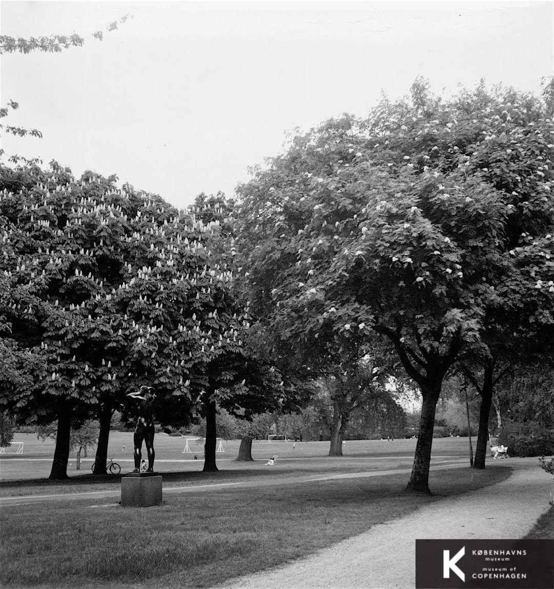 Lersøparken