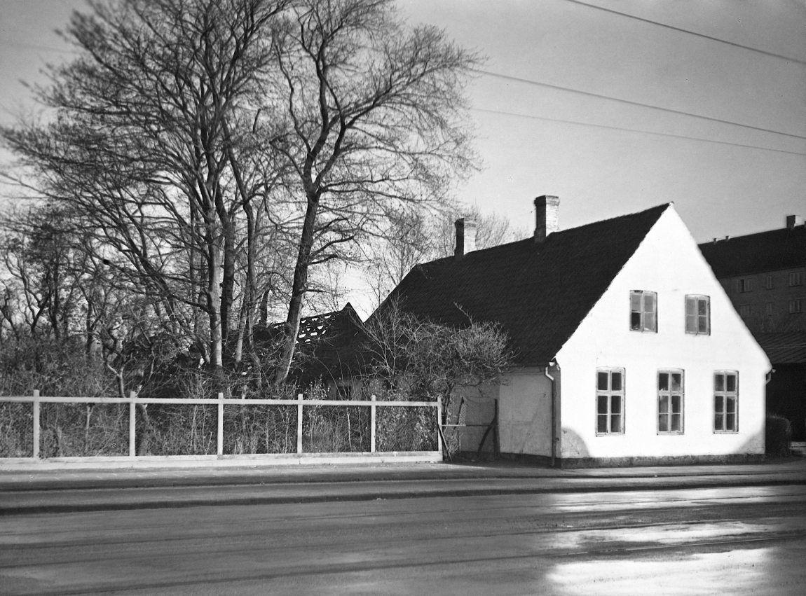 Tomsgård