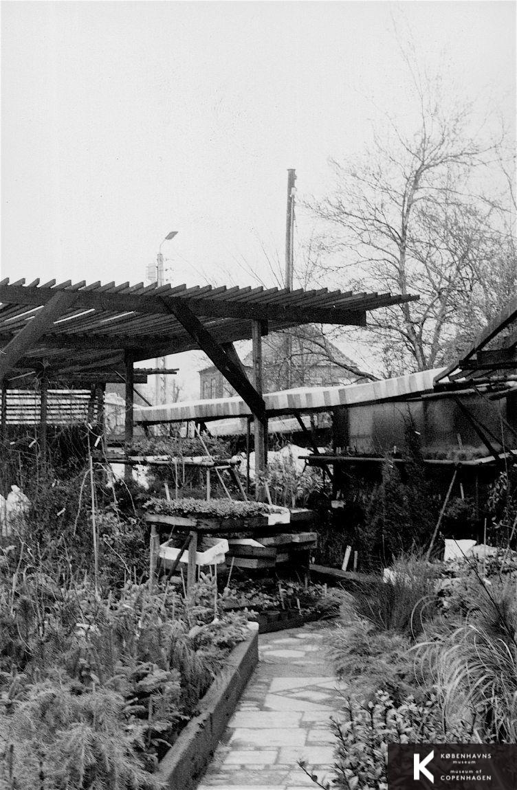 Preislers Planteskole