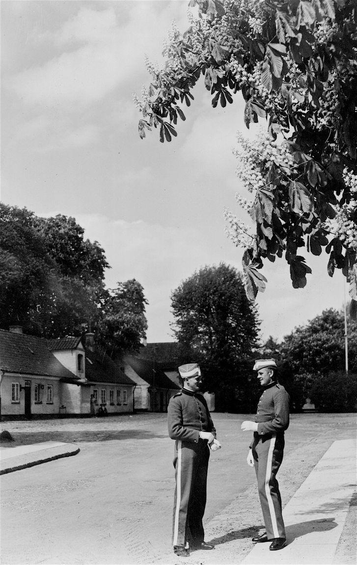 Jægersborg Allé