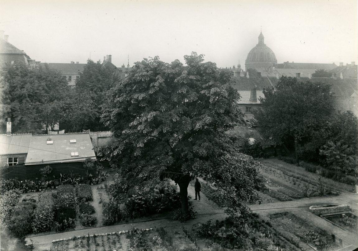 Amaliegade 29