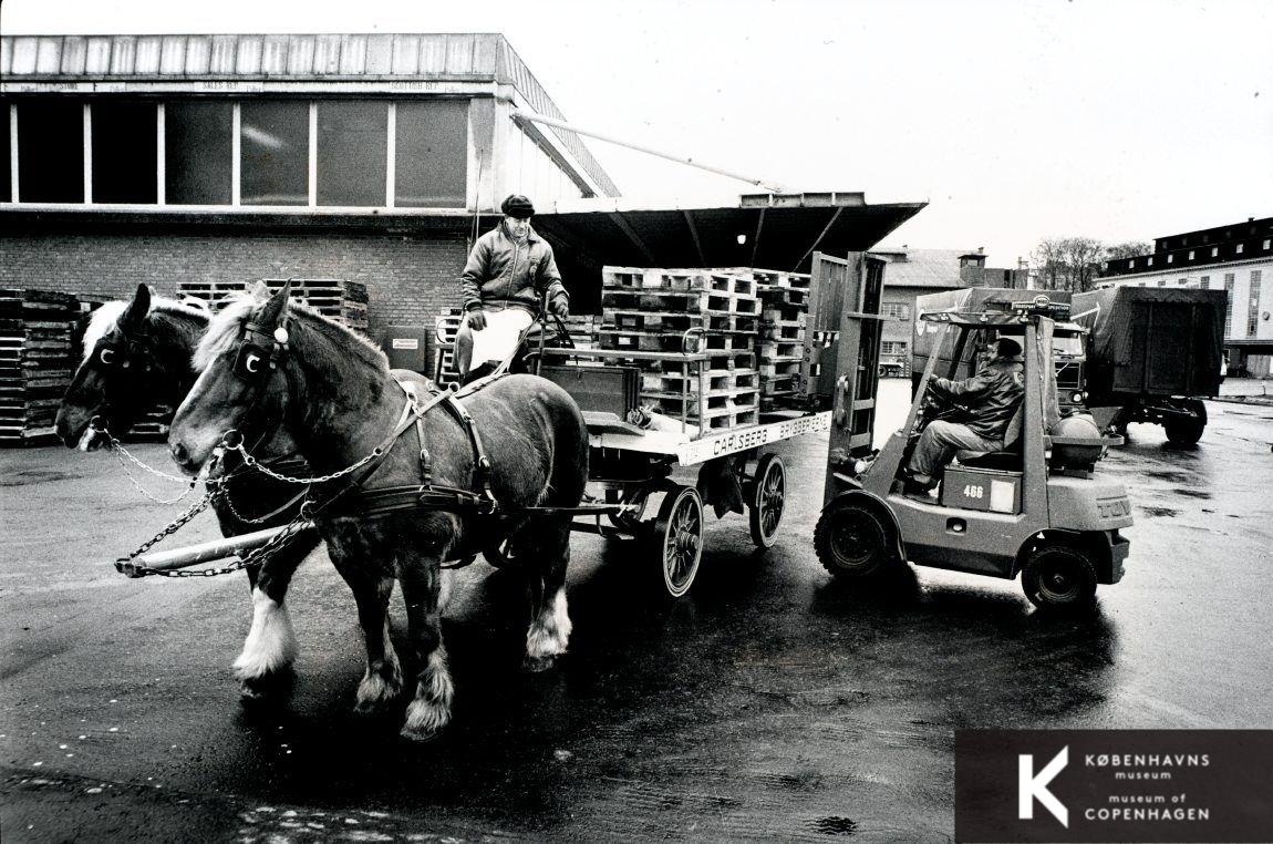 Carlsberg 1982