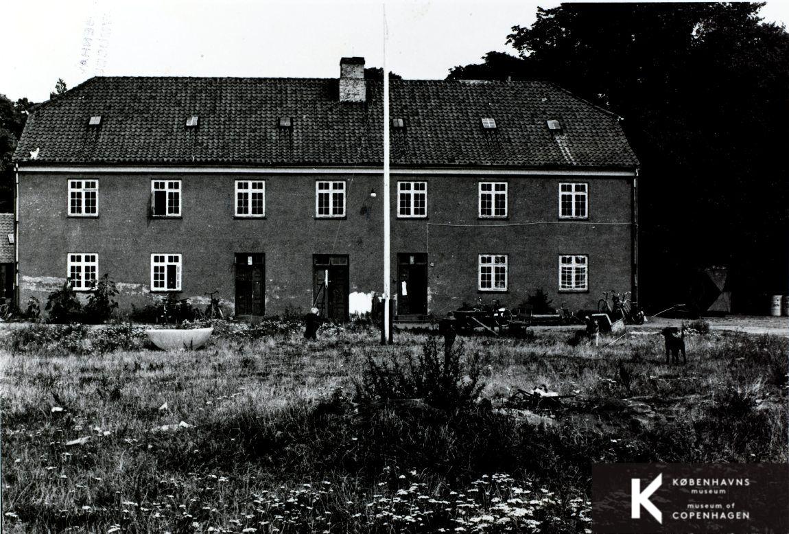 Området Mælkebøtten