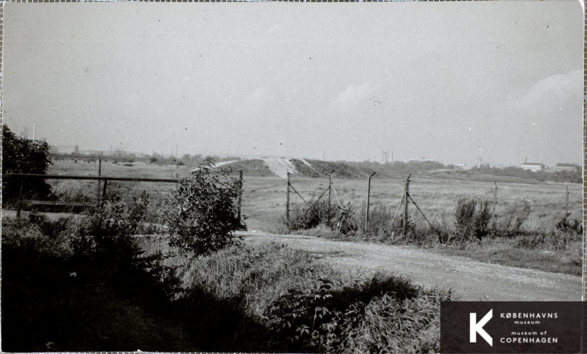 Amager Fælled