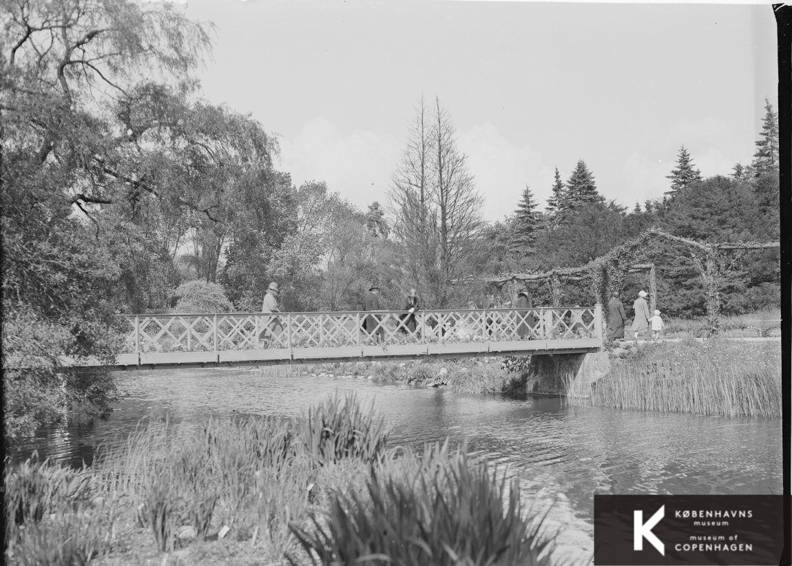 Botanisk Have