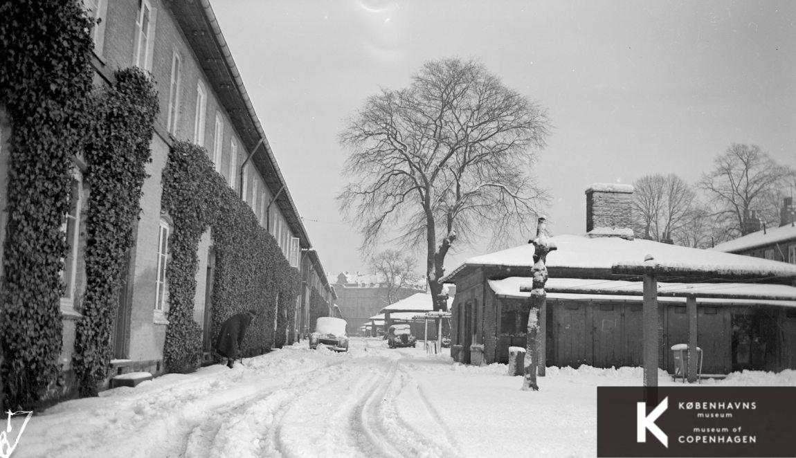 Brumleby