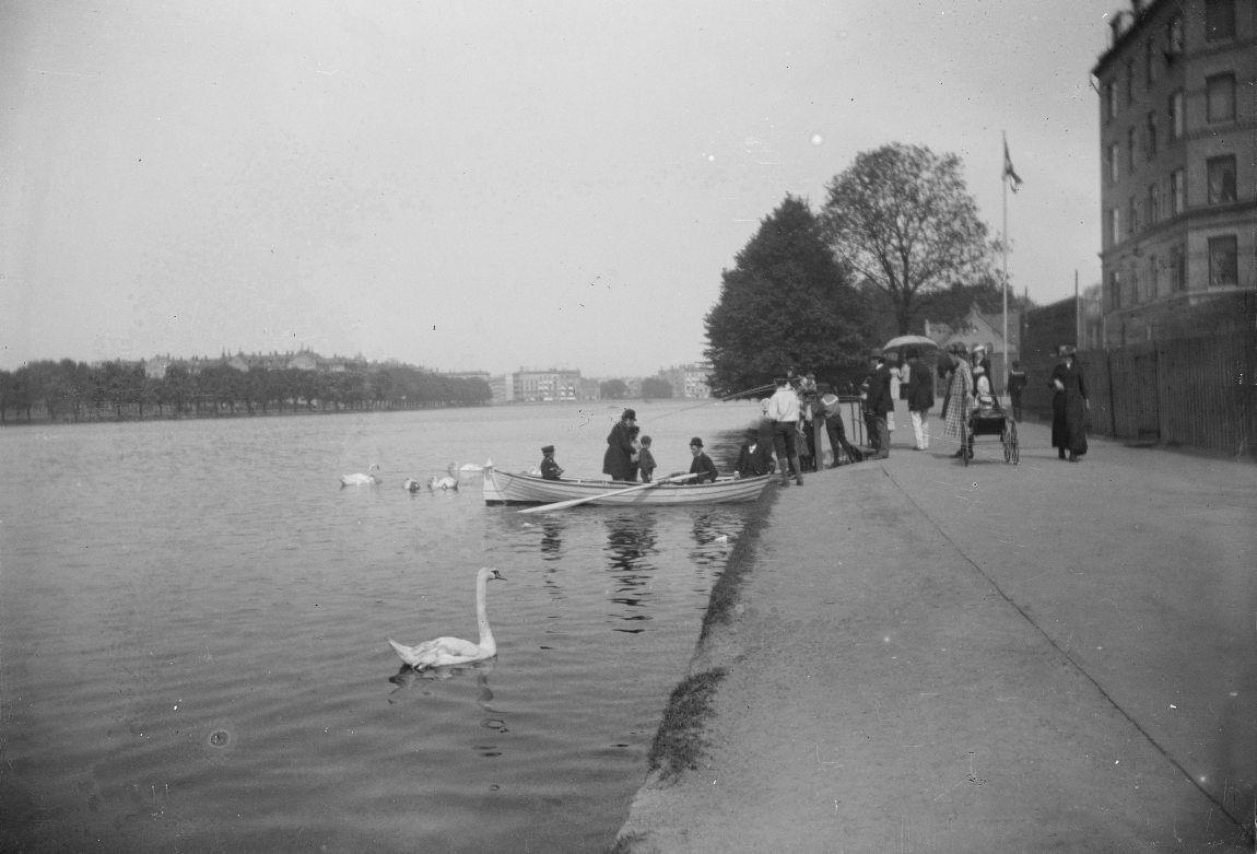 Svaner og robåd ved Søerne