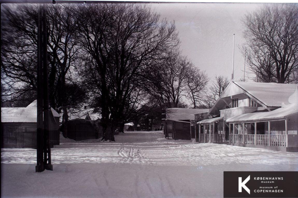 Bakken
