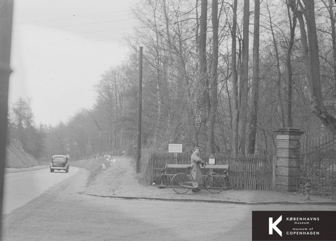 Cyklist ved skov