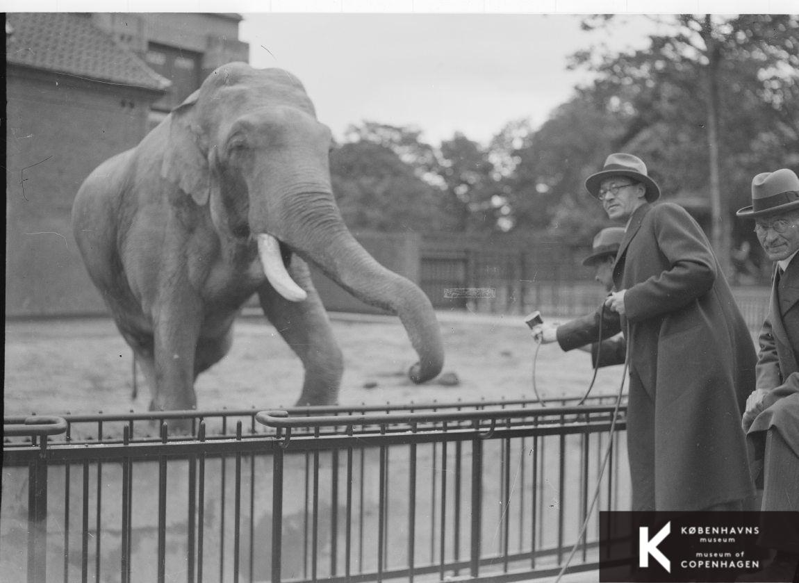 Zoologisk Have