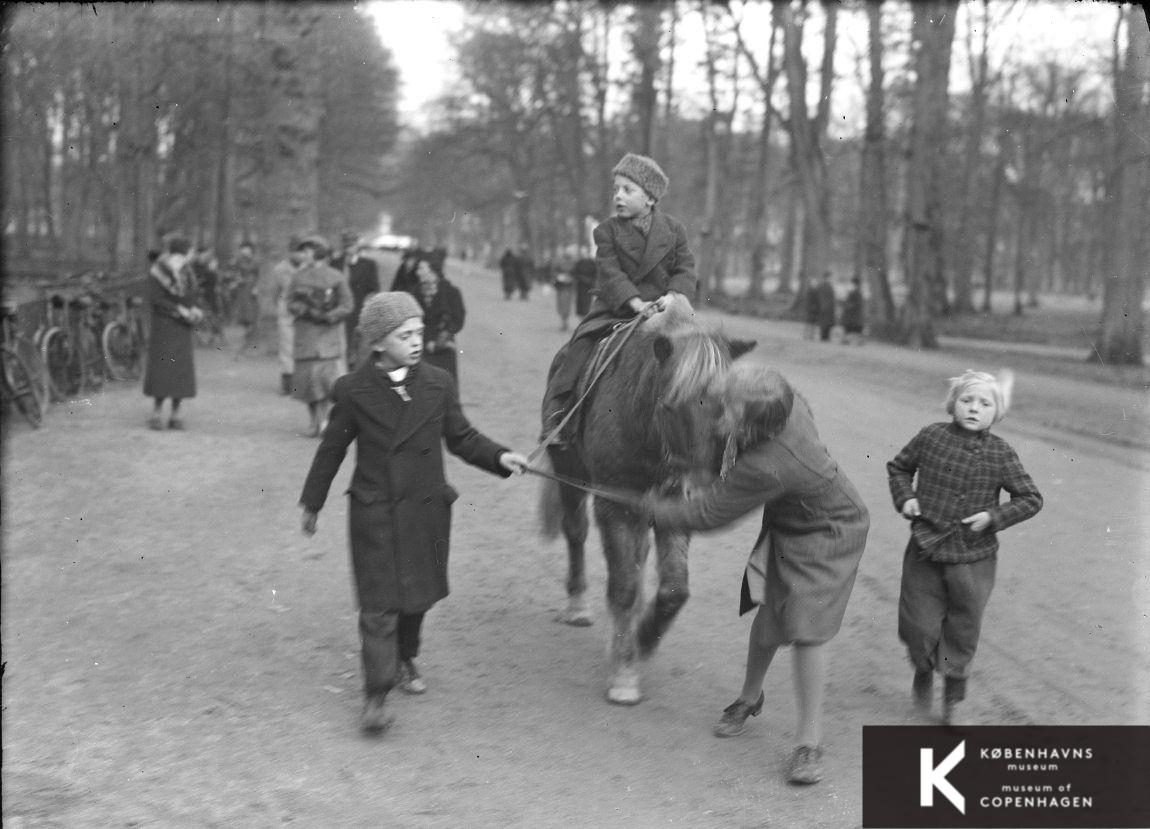 Ponyridning i Dyrehaven