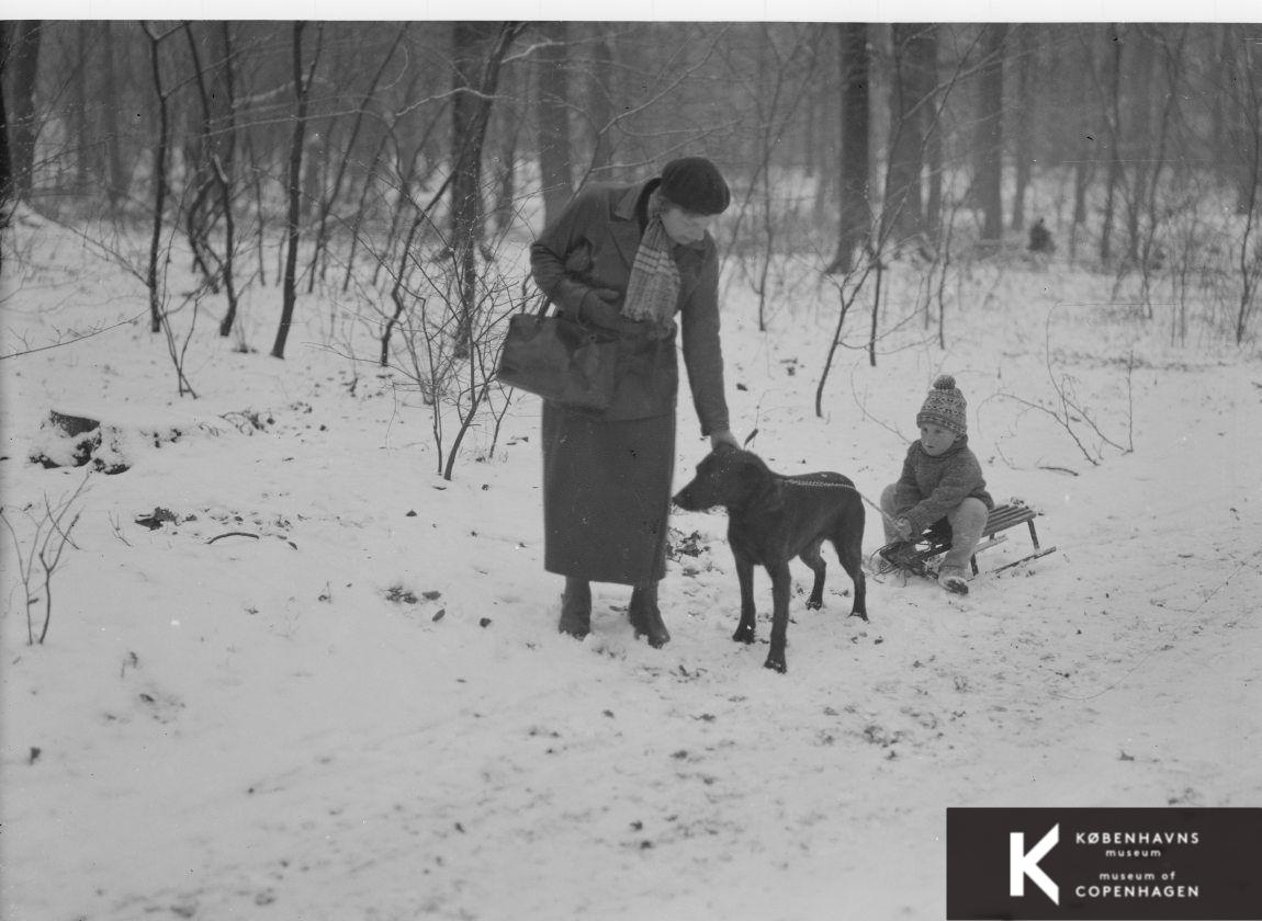 Kvinde i skoven med hund, der trækker en slæde med et barn