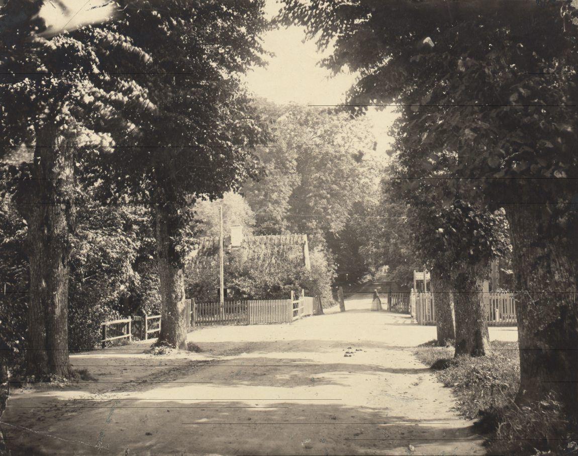 Jægersborg Allé