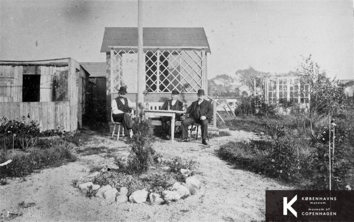 Christianshavns Vold, Haveforeningen Vennelyst.