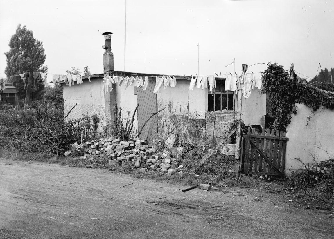 Kolonihavehuse