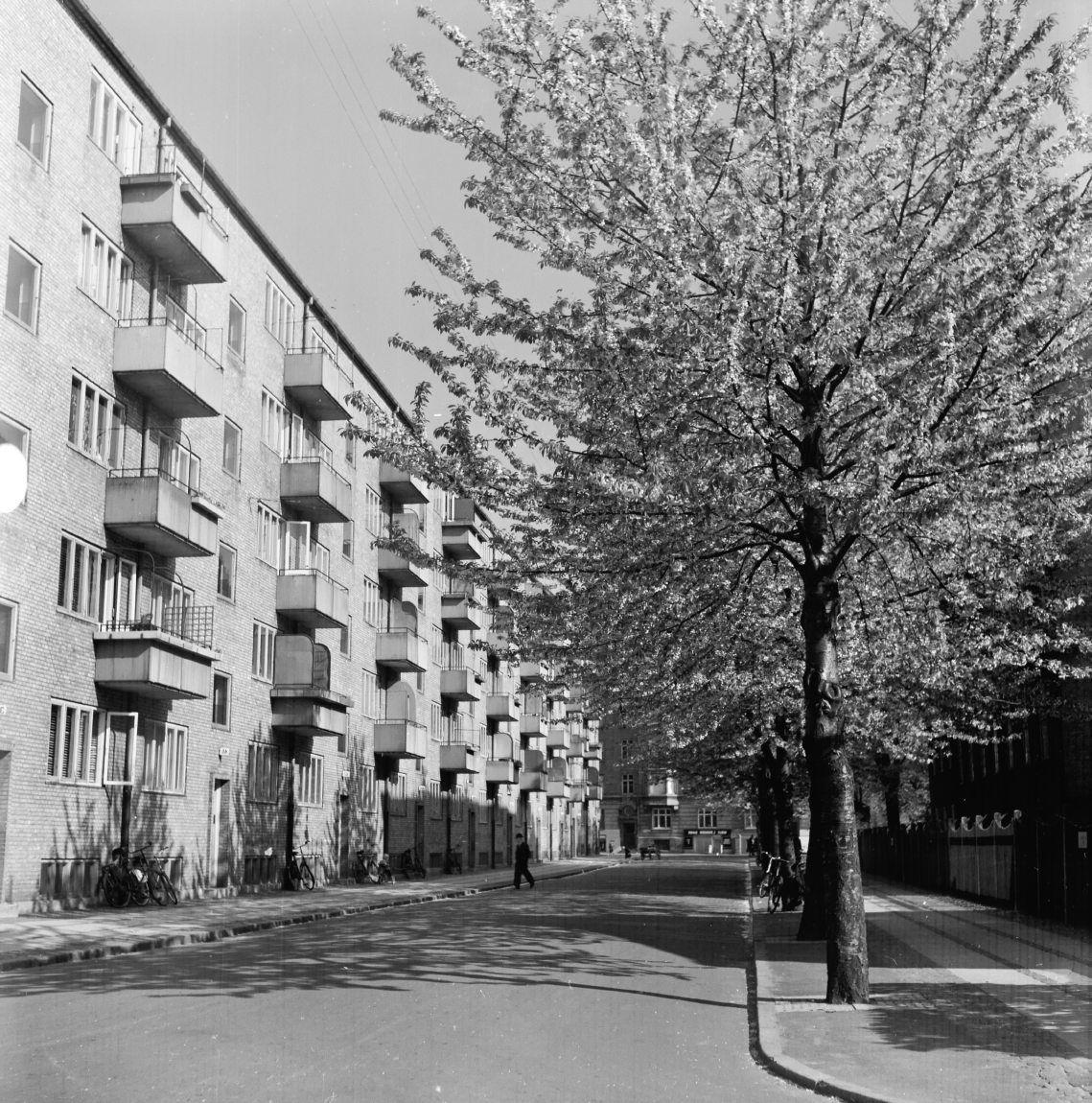 Sandbjerggade på Nørrebro.